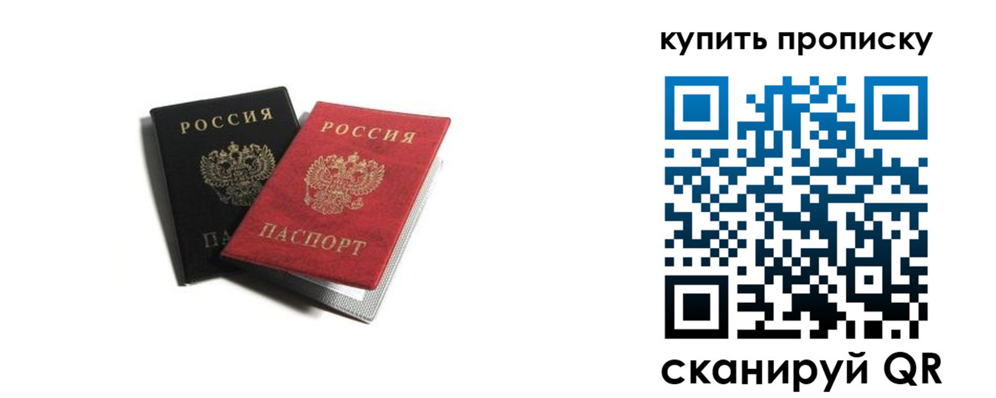 прописка штамп в Светлом